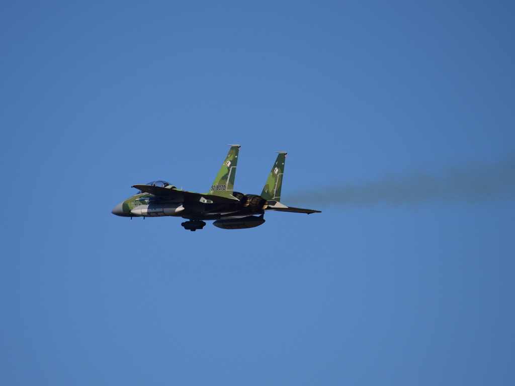 DSC_3839