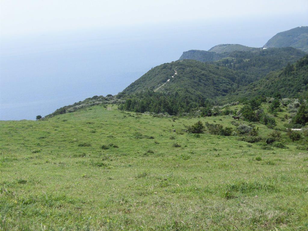 CIMG1156 (2)