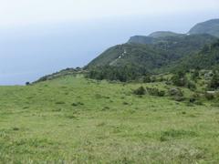 CIMG1156 (2)