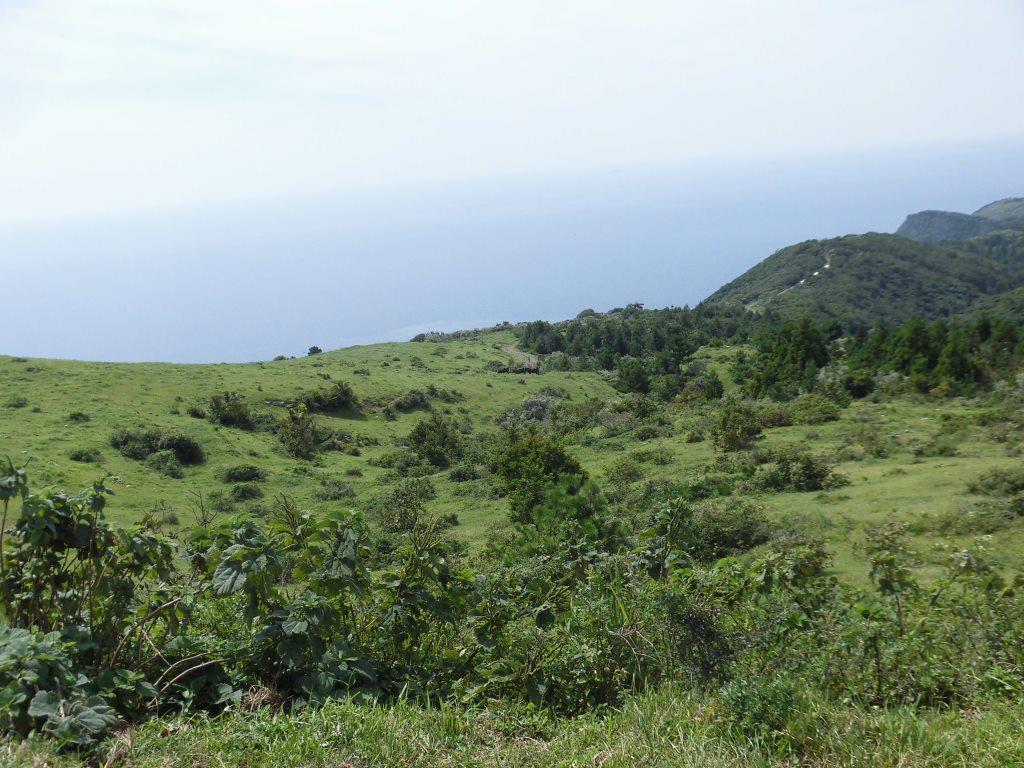 CIMG1157 (2)