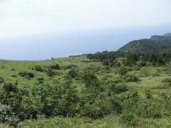 CIMG1157 (2)