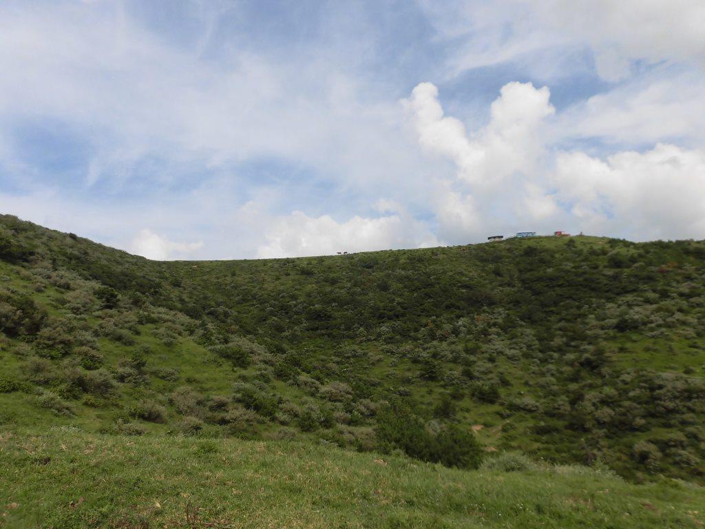 CIMG1175 (2)