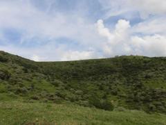 CIMG1175 (2)