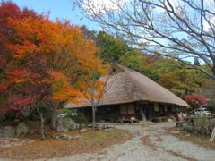 IMG_2553 (2)