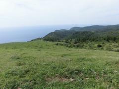 CIMG1152 (2)