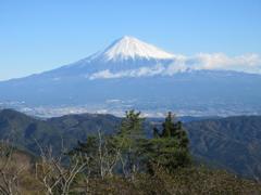 IMG_2588 (2) - コピー