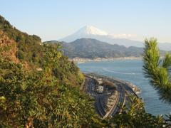 IMG_2583 (2)