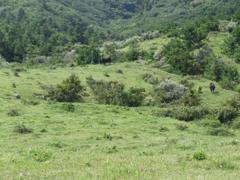 CIMG1154 (2)