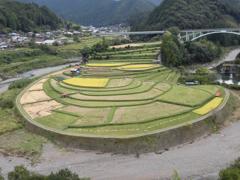 CIMG1308 (2)