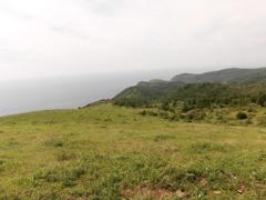 CIMG1155 (2)