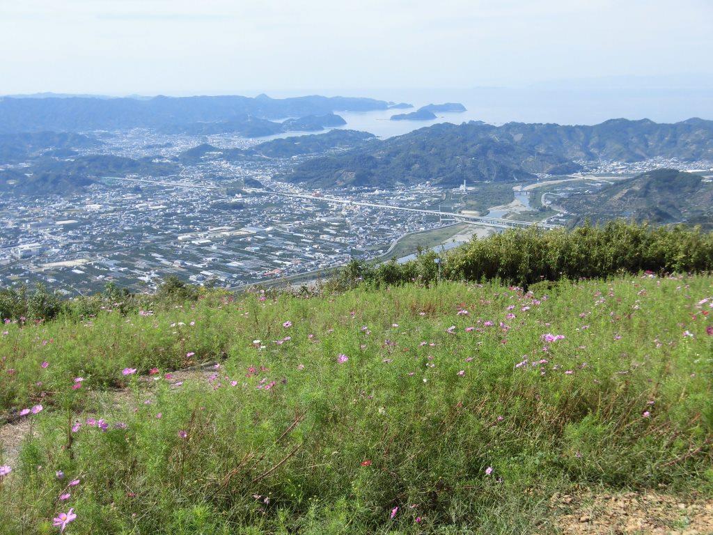 CIMG1278 (2)