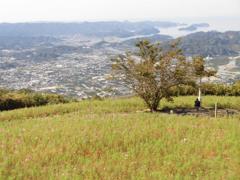 CIMG1272 (2)