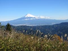 IMG_2591 (2) - コピー