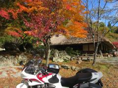 IMG_2557 (2)
