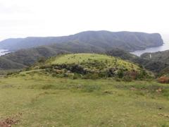 CIMG1165 (2)