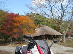 IMG_2554 (2)