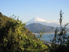 IMG_2584 (2)