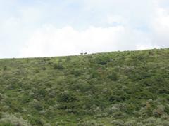 CIMG1176 (2)