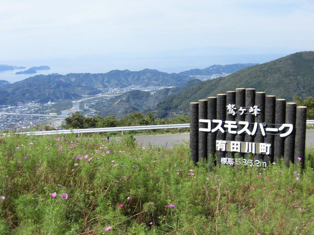 CIMG1286 (2)