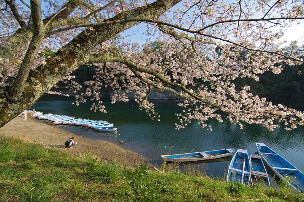 桜淵公園４