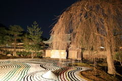 高台寺庭園①