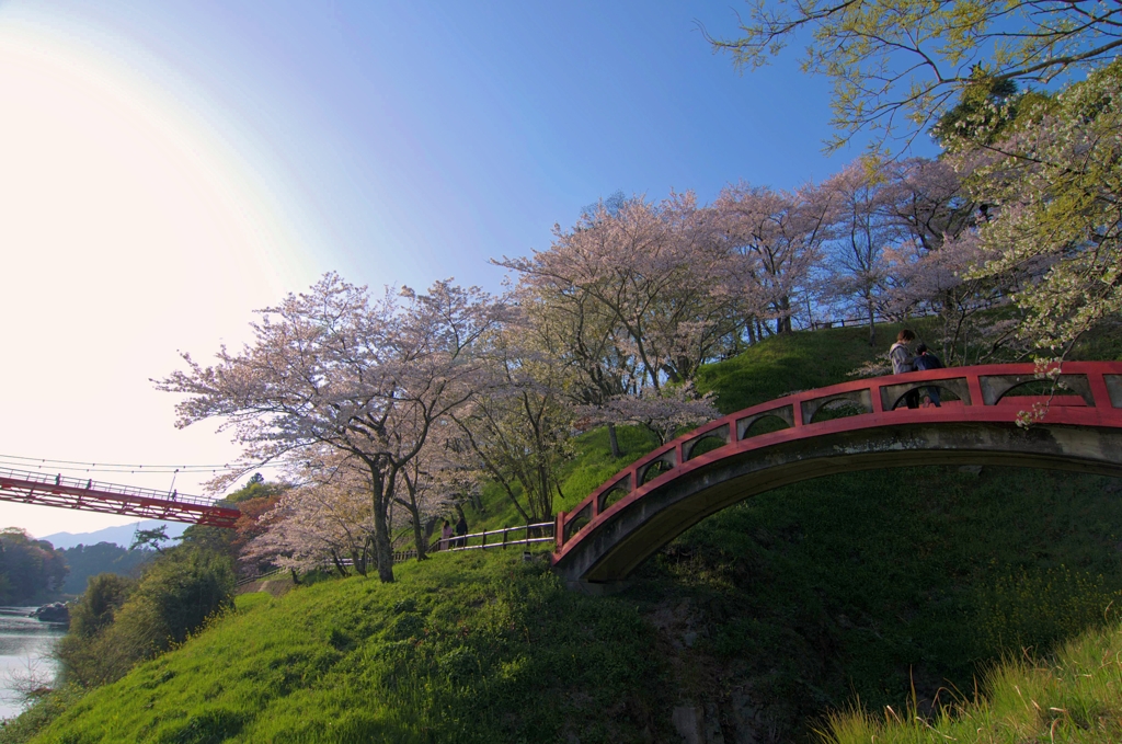 桜淵公園２