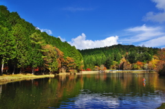 秋の段戸湖