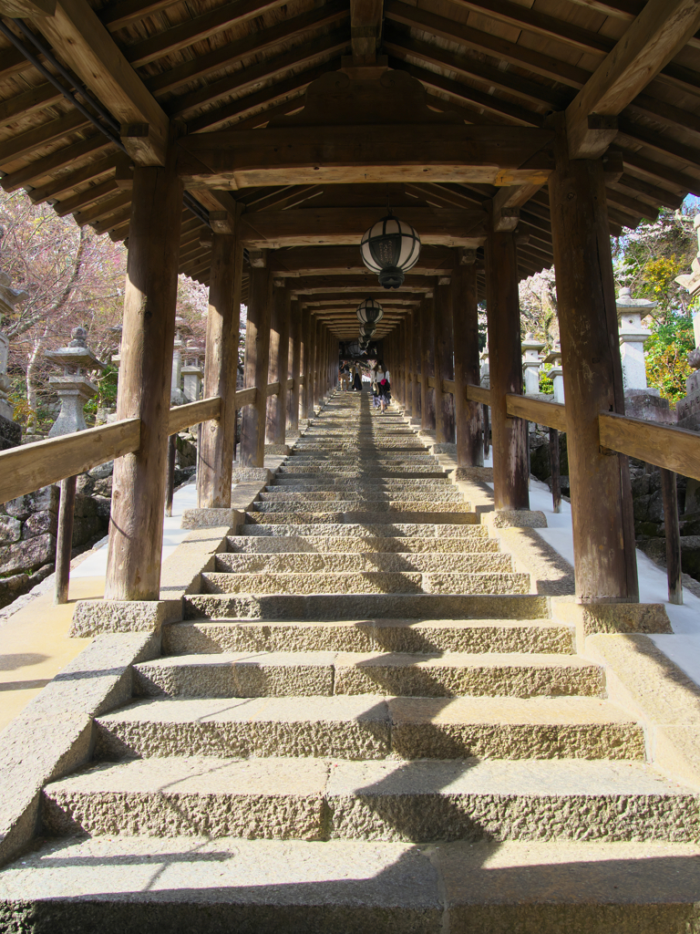 長谷寺①