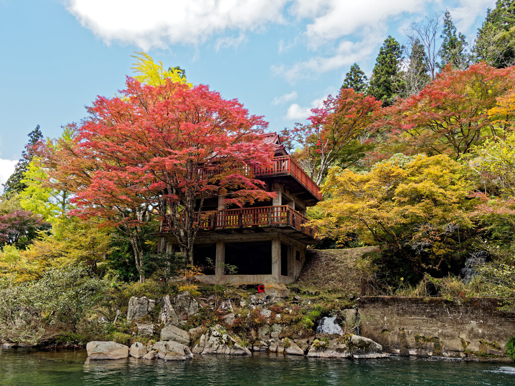 大井平公園