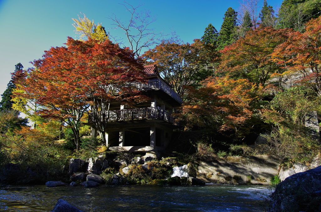 大井平公園