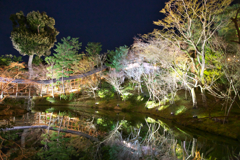 高台寺庭園②