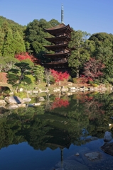 瑠璃光寺　五重塔