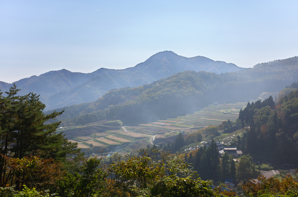 姨捨棚田