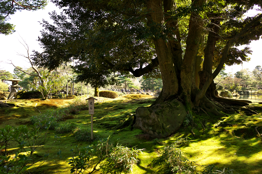 兼六園②