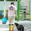 おうちに帰ろう