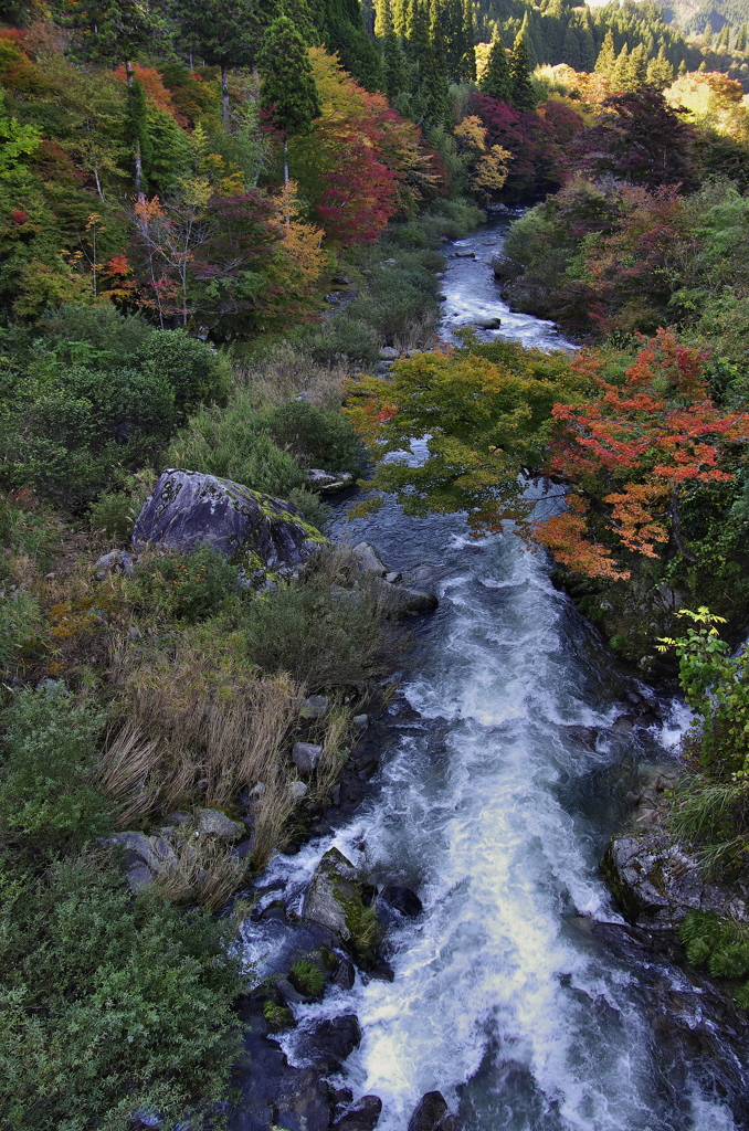 名倉川の紅葉