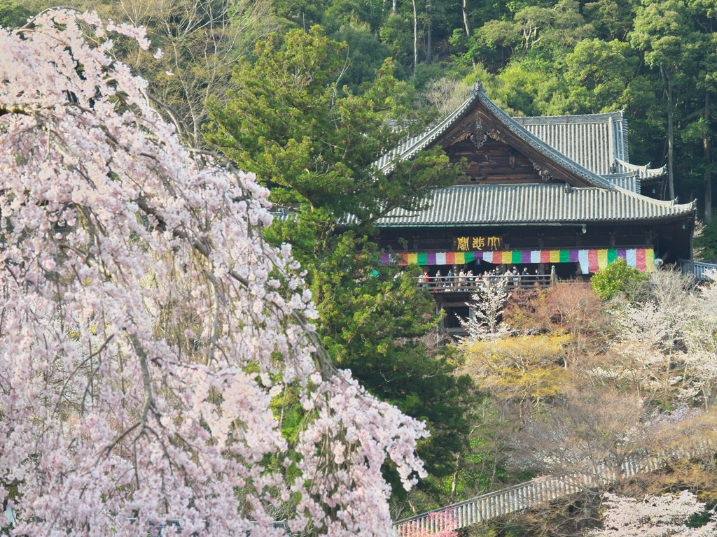 長谷寺③