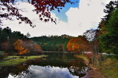 秋の段戸湖２