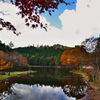 秋の段戸湖２