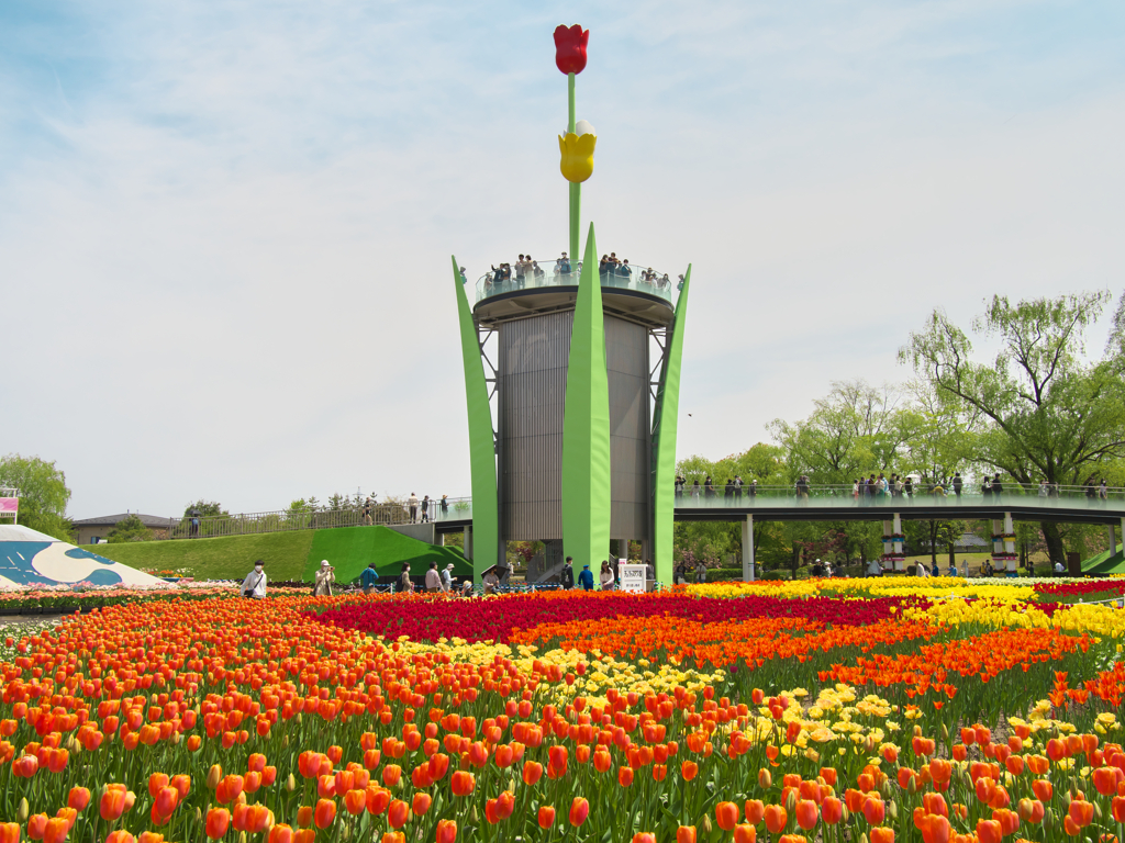 砺波チューリップ公園