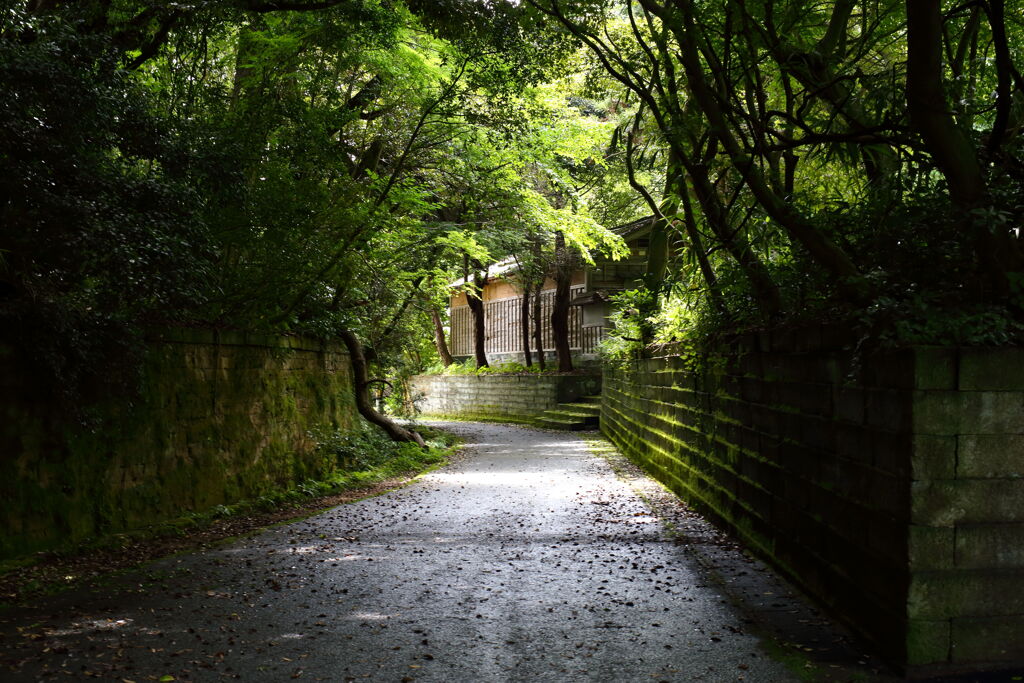 加賀橋立③