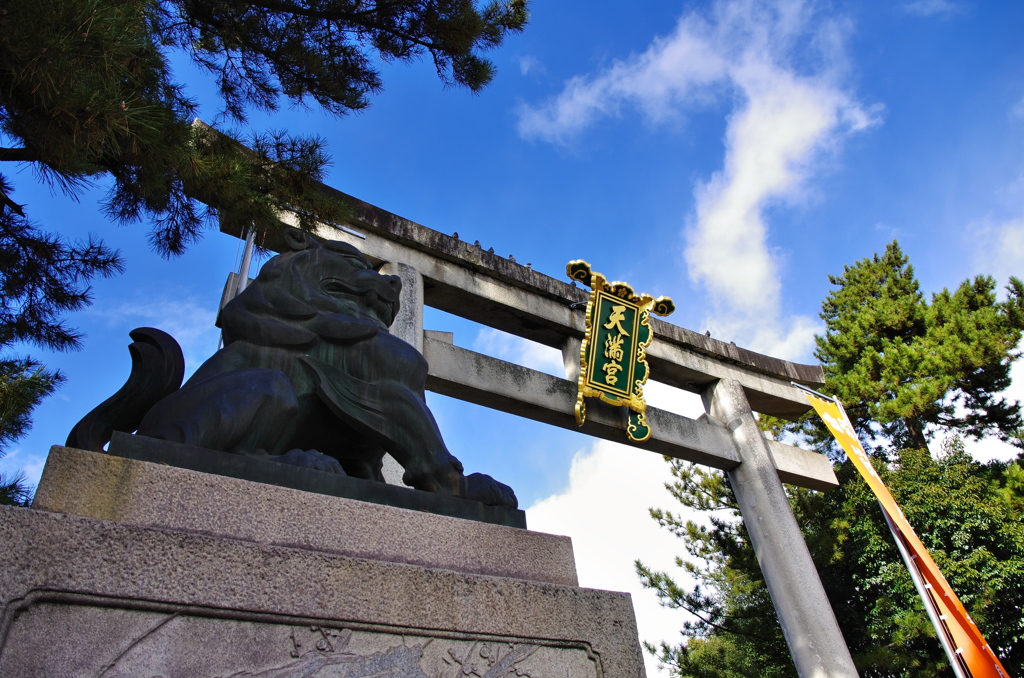 鳥居と狛犬