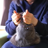 謎の物体Ｘ