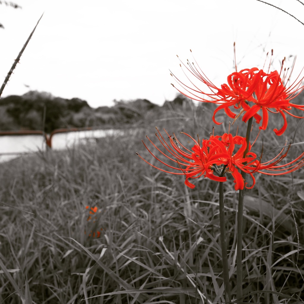 荒川沿いの公園にて