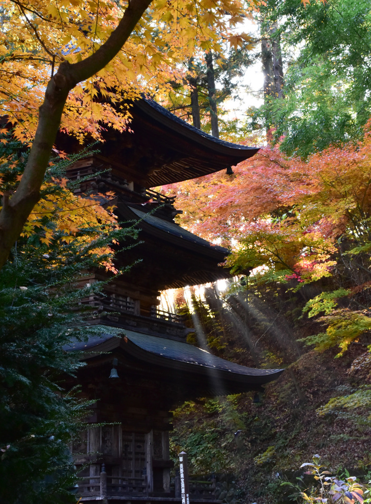 一瞬の光芒