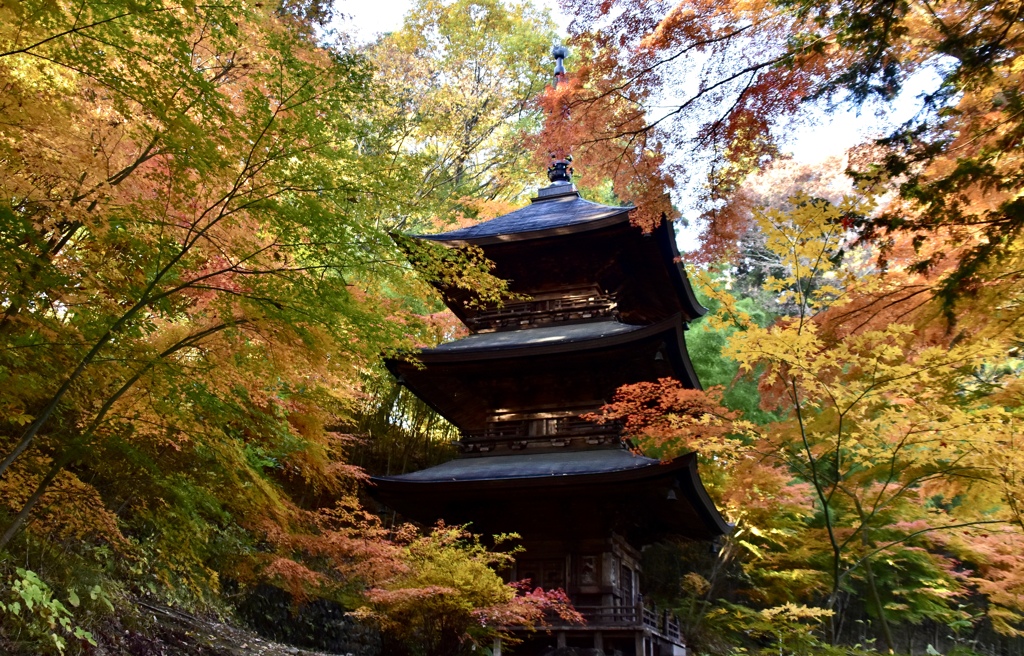 紅葉に囲まれて