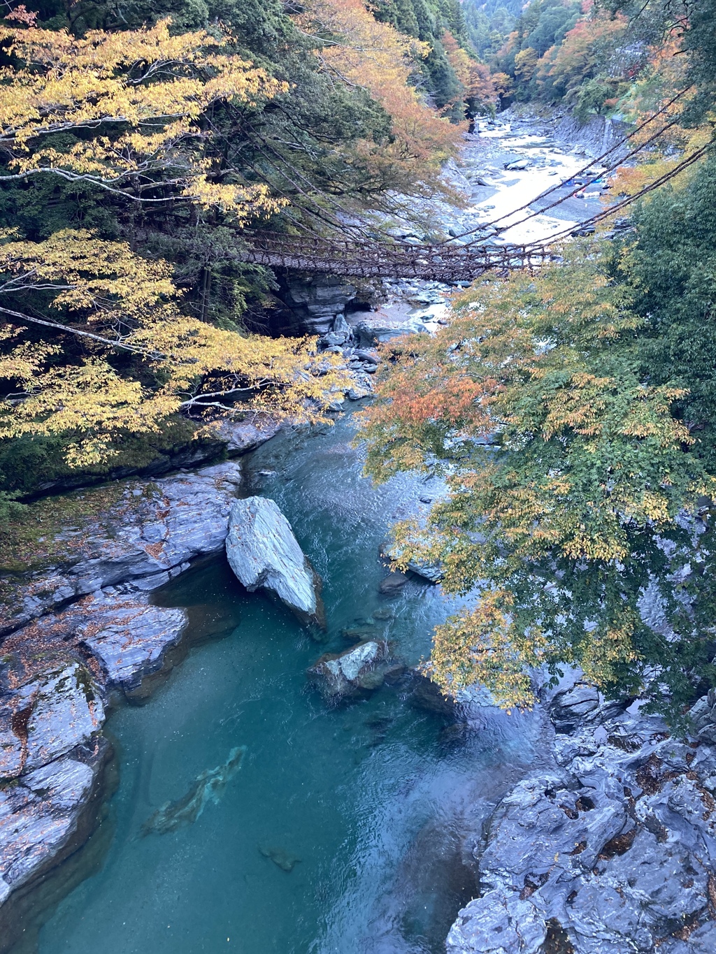 かずら橋