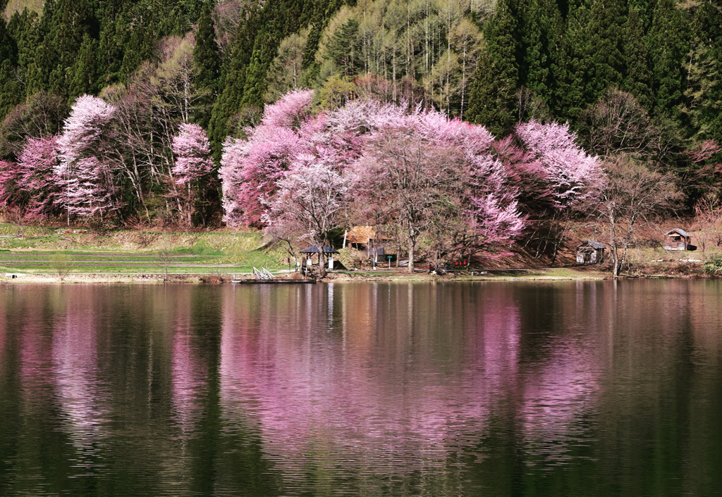 水鏡