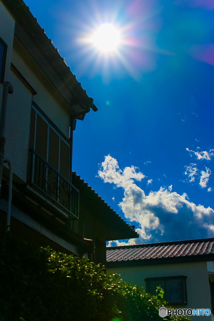秋夏