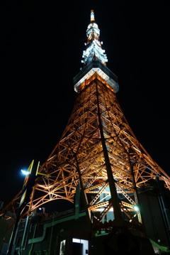 tower of Tokyo